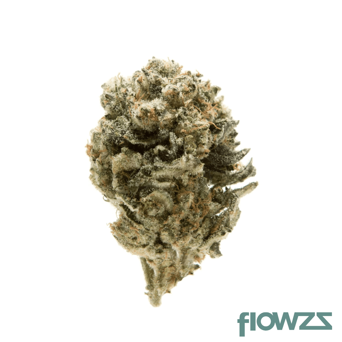 remexian-30-1-twe-man