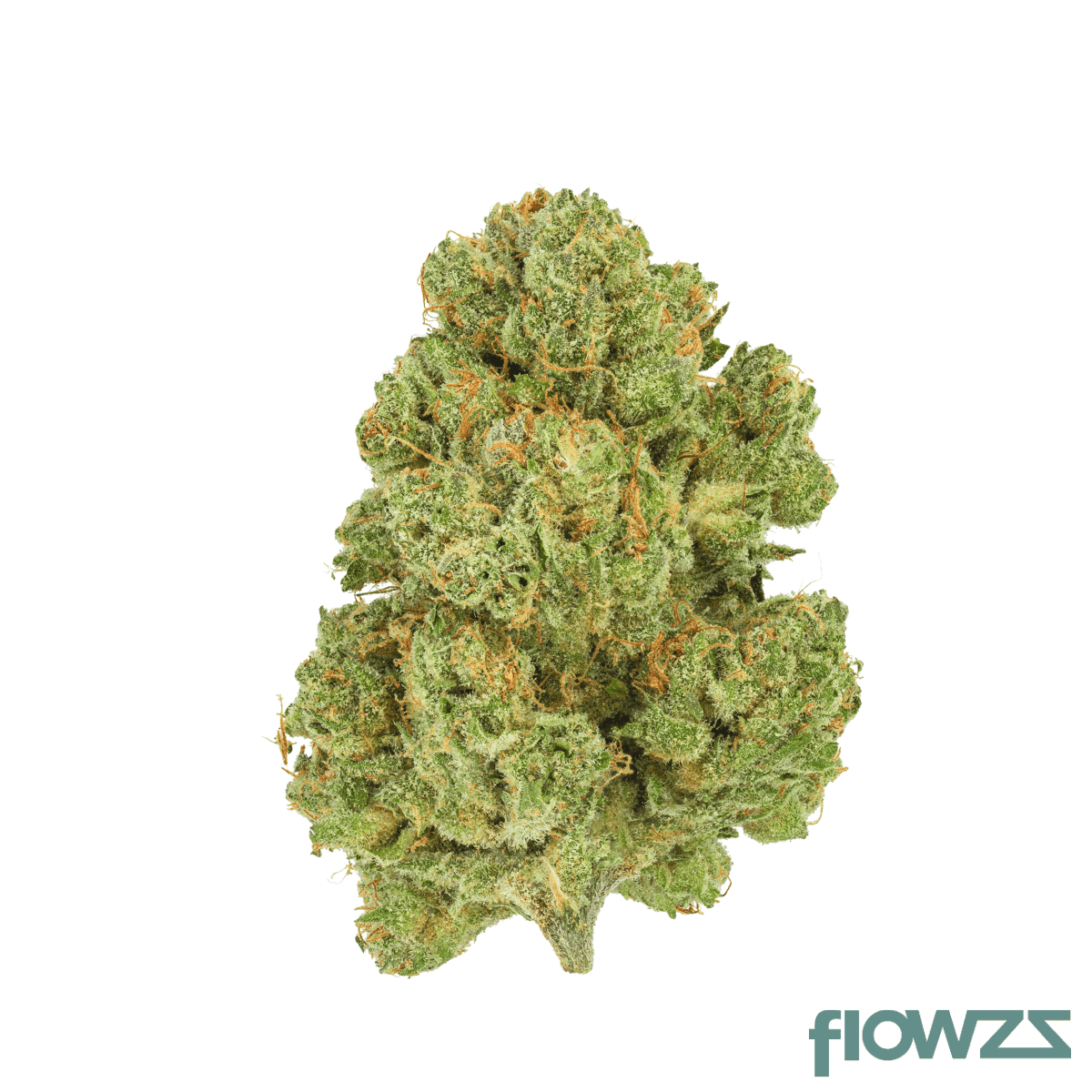 remexian-21-1-ras-alb-astral-berry