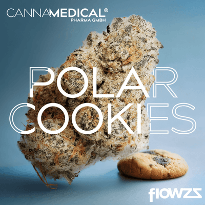 Cannamedical Sativa Ultra NM Polar Cookies