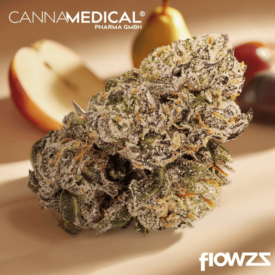cannamedical-sativa-forte-nm-goofiez