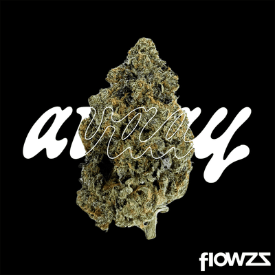 avaay-signature-27-1-arc-apple-rock-candy