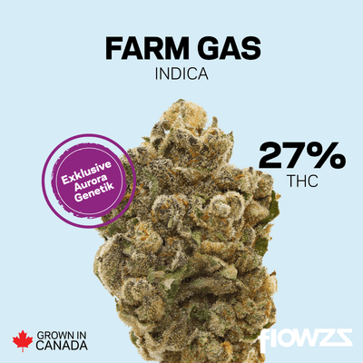 pedanios-27-1-frg-ca-farm-gas Copyright © 2025 Aurora Cannabis Inc. All Rights Reserved.