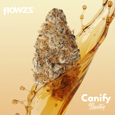 Cannabis flos 27/1 CDA Ku. Flapjacks