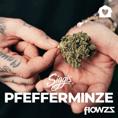 Siggis PMNZ 28:01 Siggis Pfefferminze