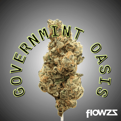 APEX GOA-PT-26 Governmint Oasis