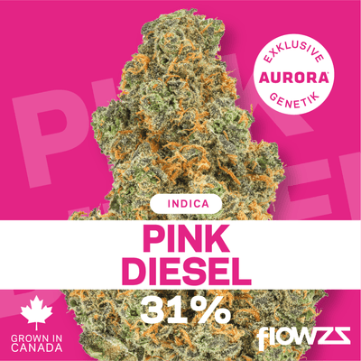 Pink Diesel Aurora