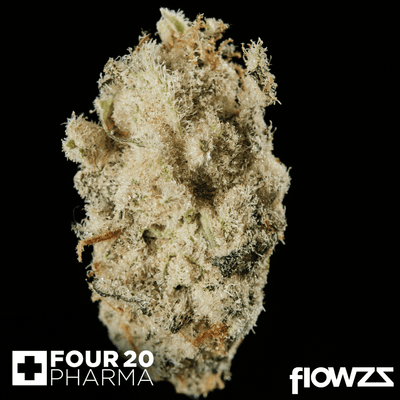 420-evolution-30-1-ca-msp-masterpiece-1