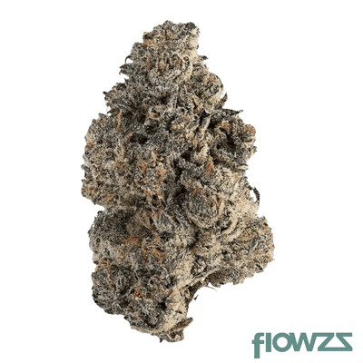 czechout-24-1-puo-purple-octane