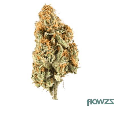 eufloria-30-1-lba-la-baker