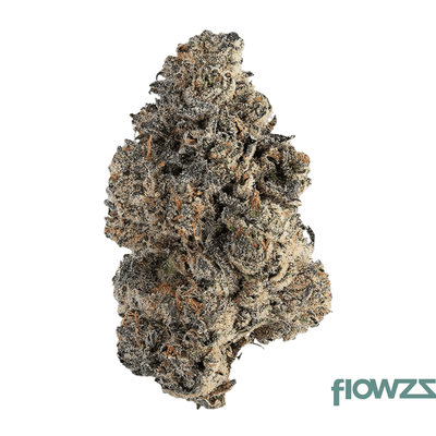 czechout-24-1-puo-purple-octane