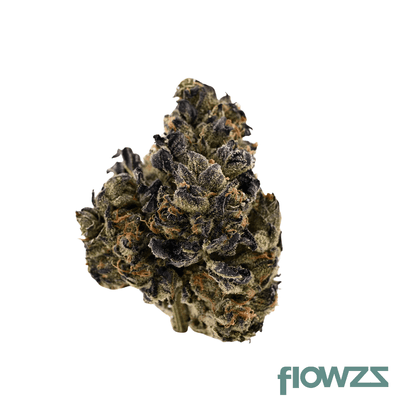 demecan-core-icc-20-01-ice-cream-cake