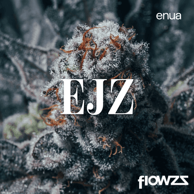 Enua 30/1 EJZ CA El Jefe Zoap