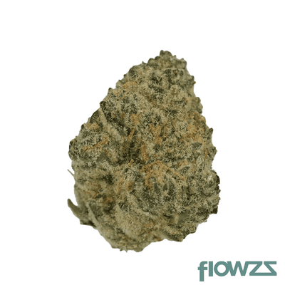 cannamedical-sativa-ultra-28-1-nm-polar-cookies