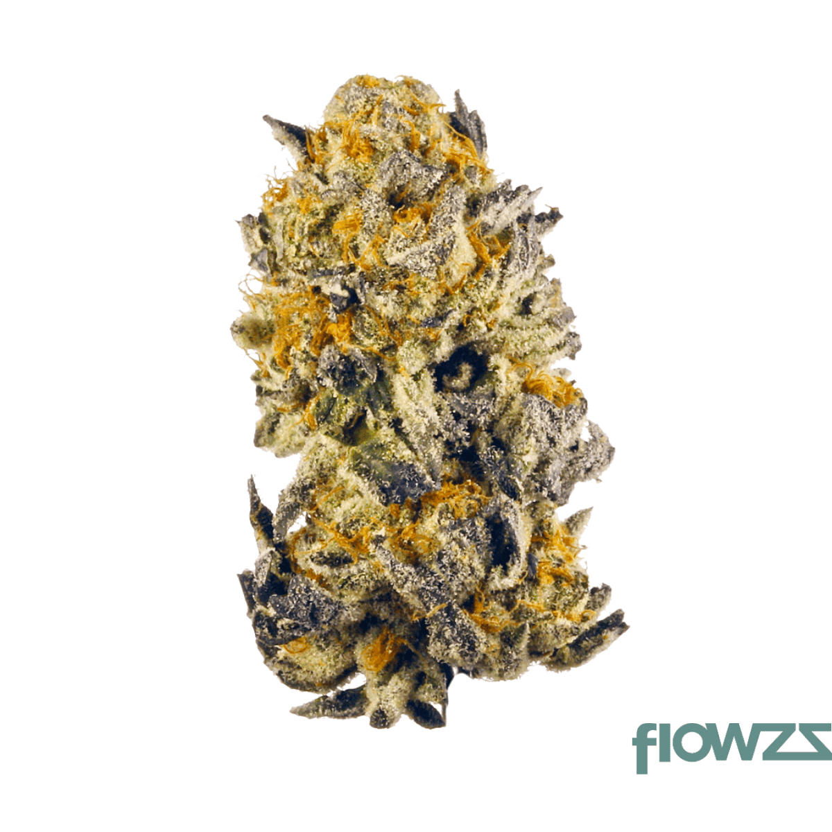 medical-saints-18-1-acb-acai-berry