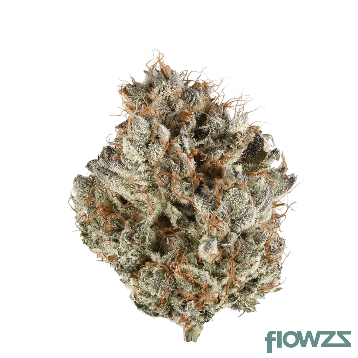 remexian-27-1-twe-bog-blueberry-og