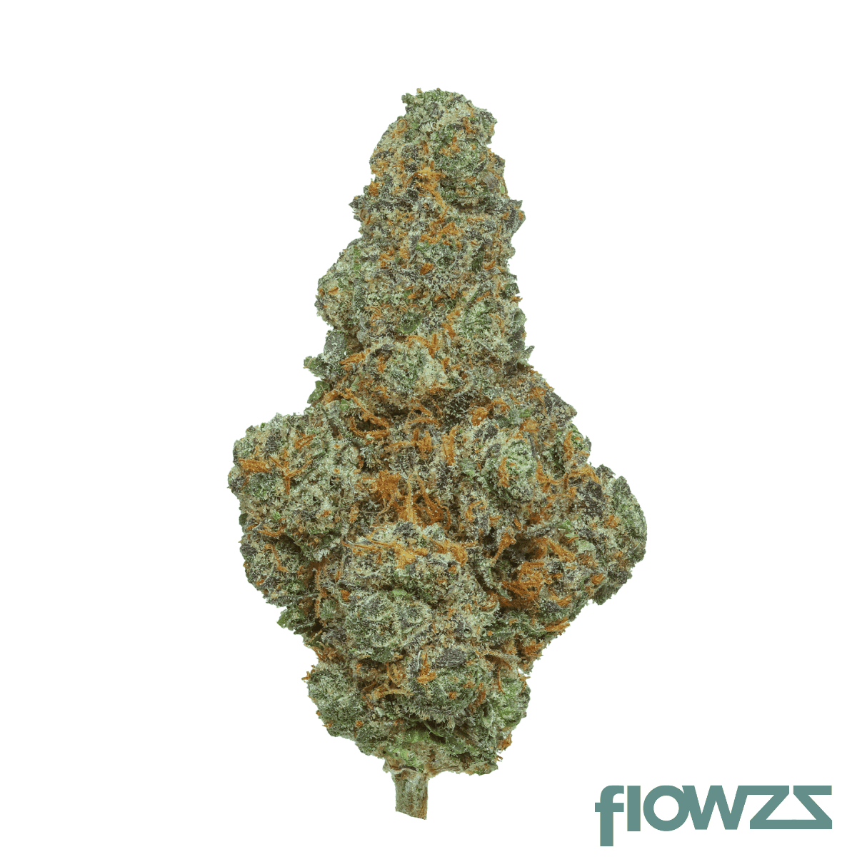 thc-akut-eh-22-blc-blunicorn