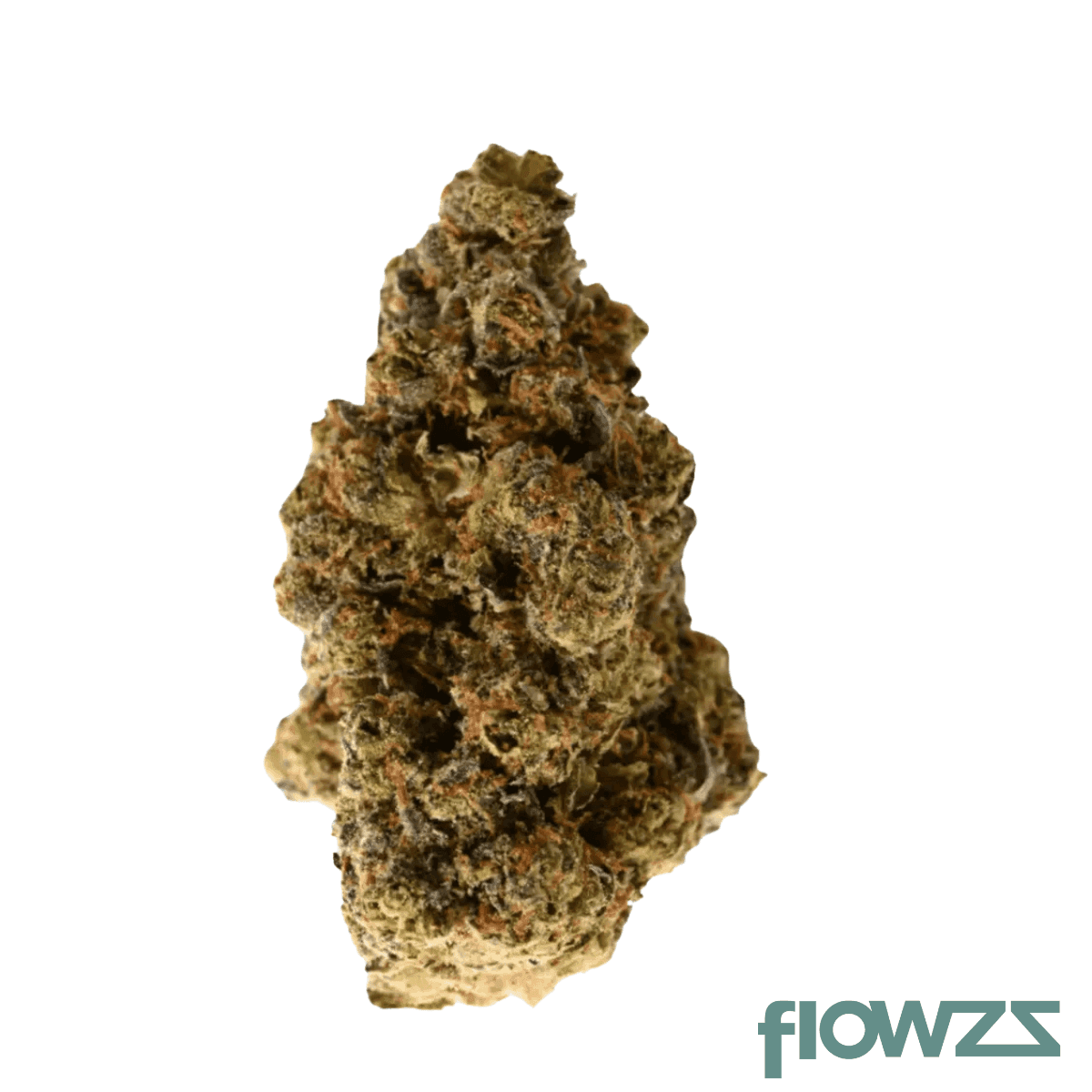 nice-28-1-gsc-girl-scout-cookies