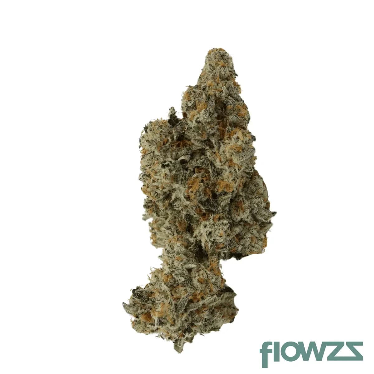 cannabis-adrex-mother-26-gf-can-garlic-funk