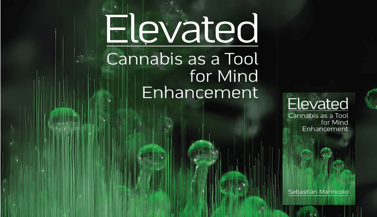 elevated-cannabis-as-a-tool-for-mind-enhancement