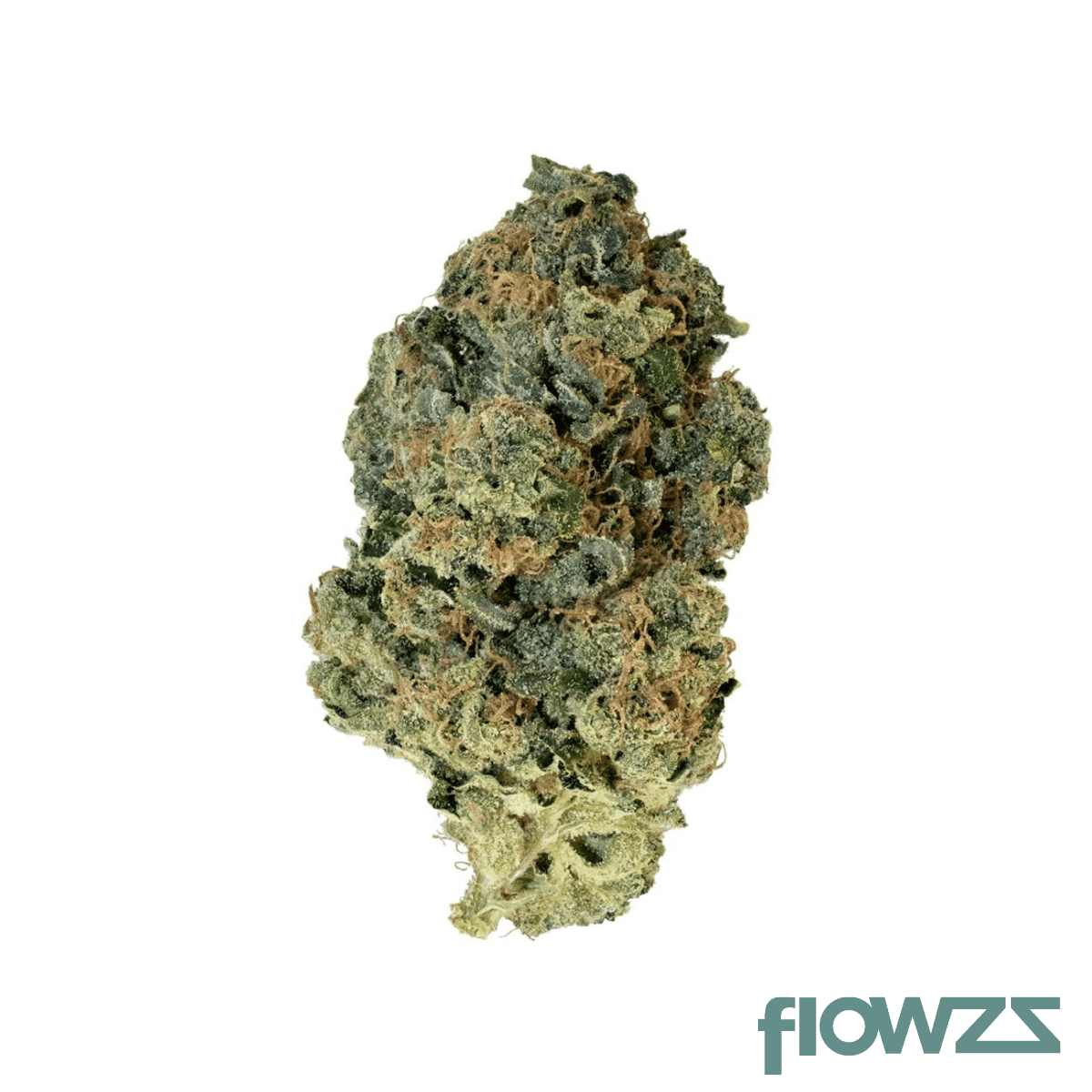 adrex-28-koko-can-cookies