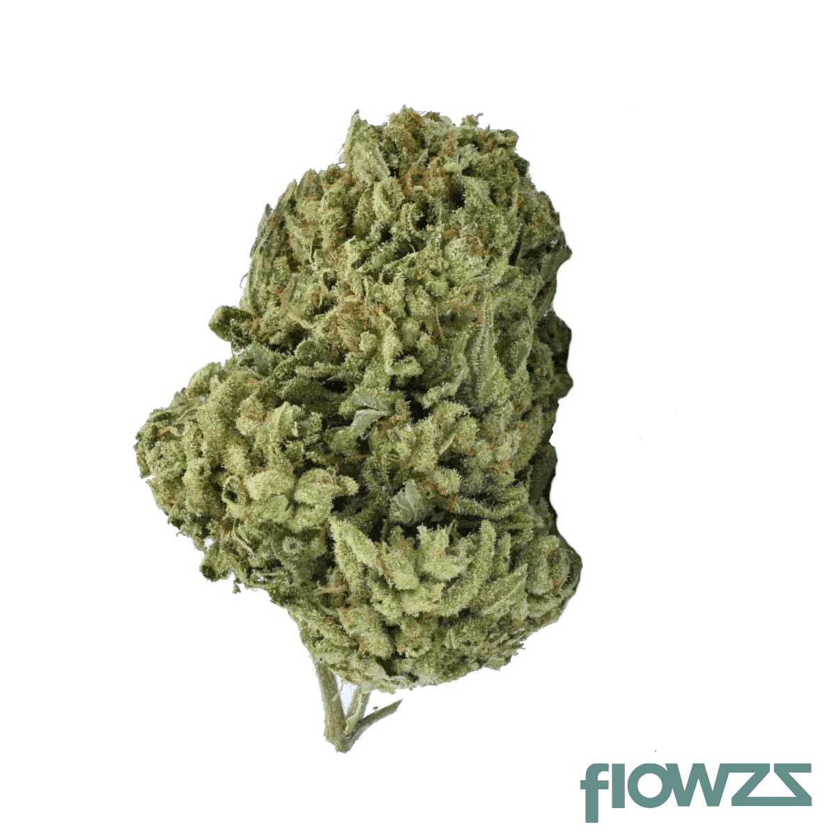 grow-9-12-am-apricot-mints