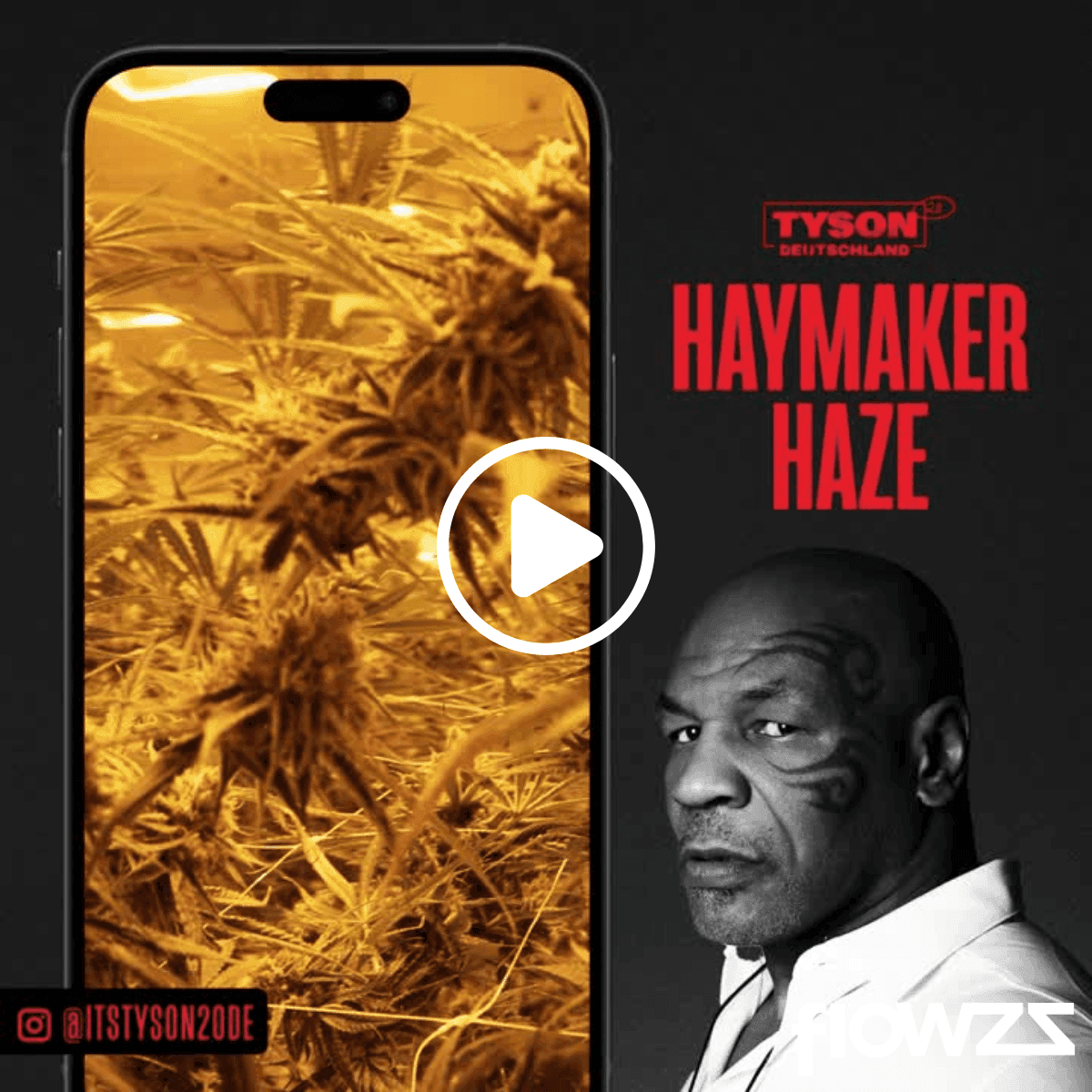 Haymaker