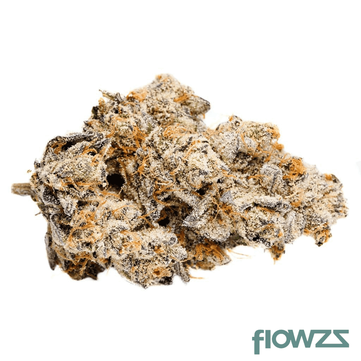 LOT 420 OC