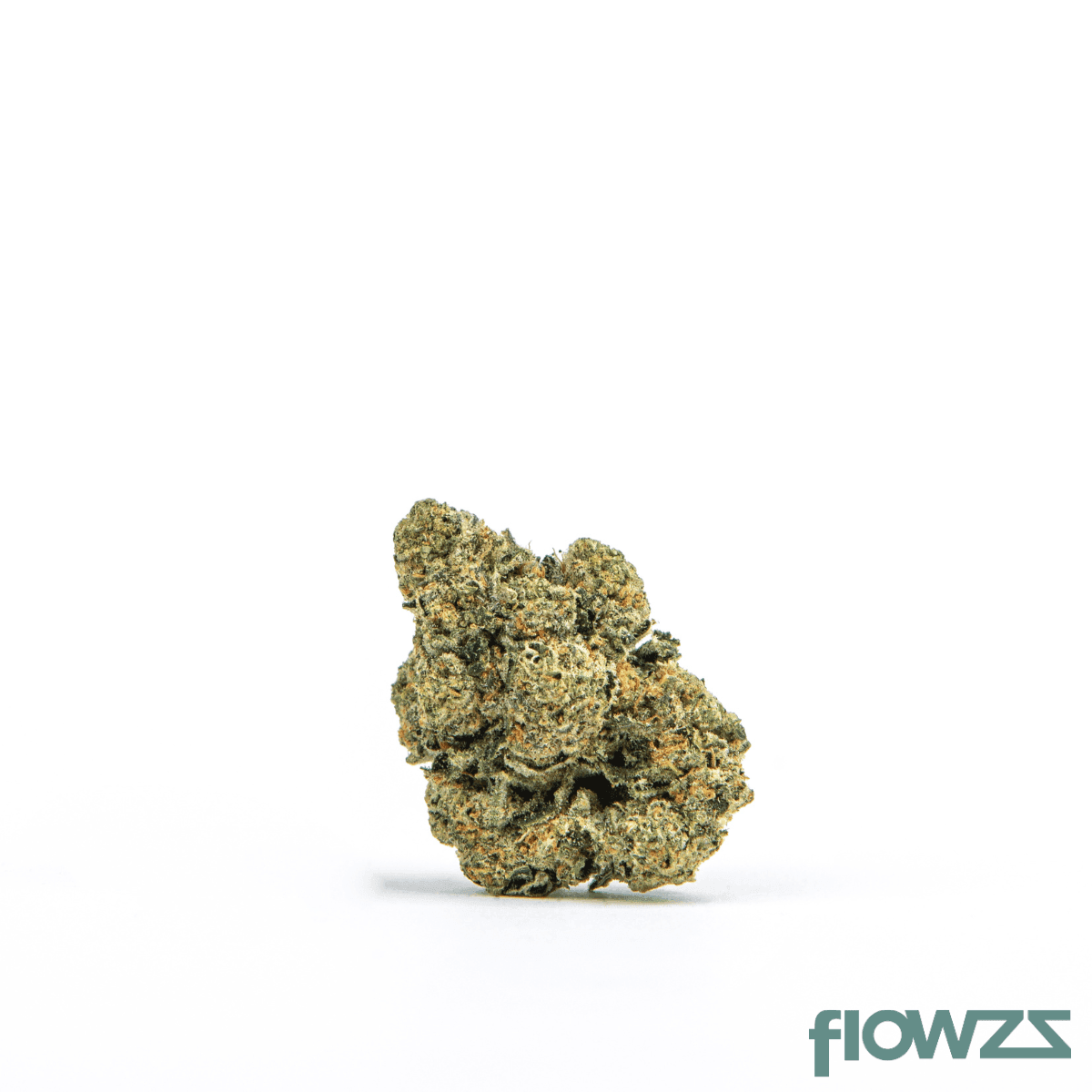Tikun OZ 22/1 OZ