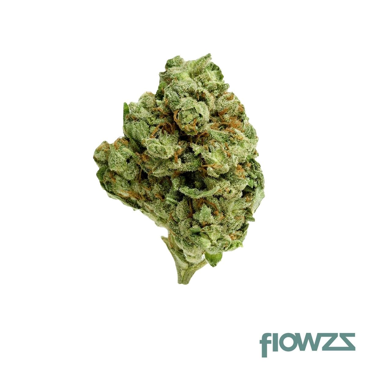 Cannamedical Sativa forte Ghost Train Haze