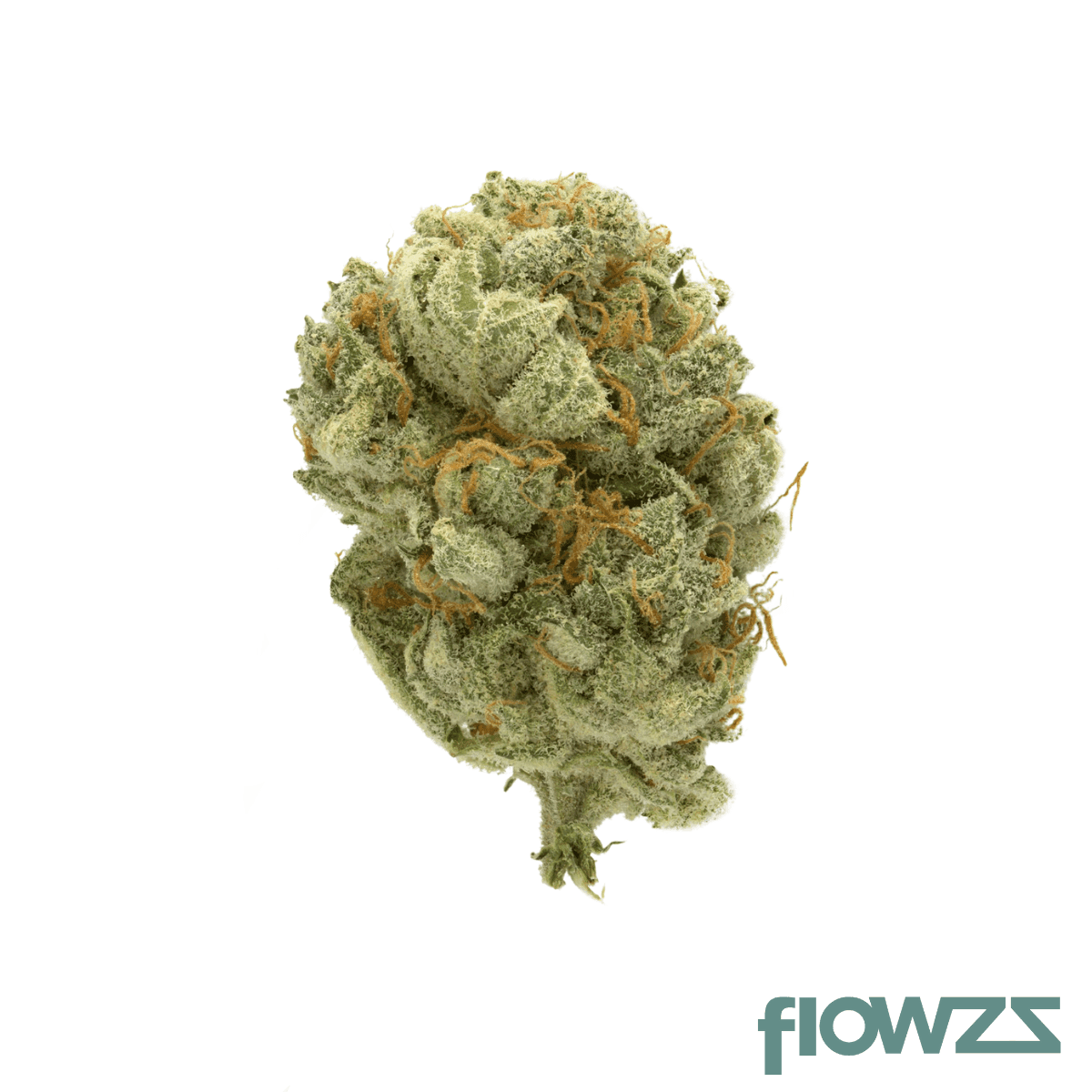 Cannamedical Hybrid forte SMS - Hash-Plant x Blueberry x Diesel - flowzz.com Preisvergleich