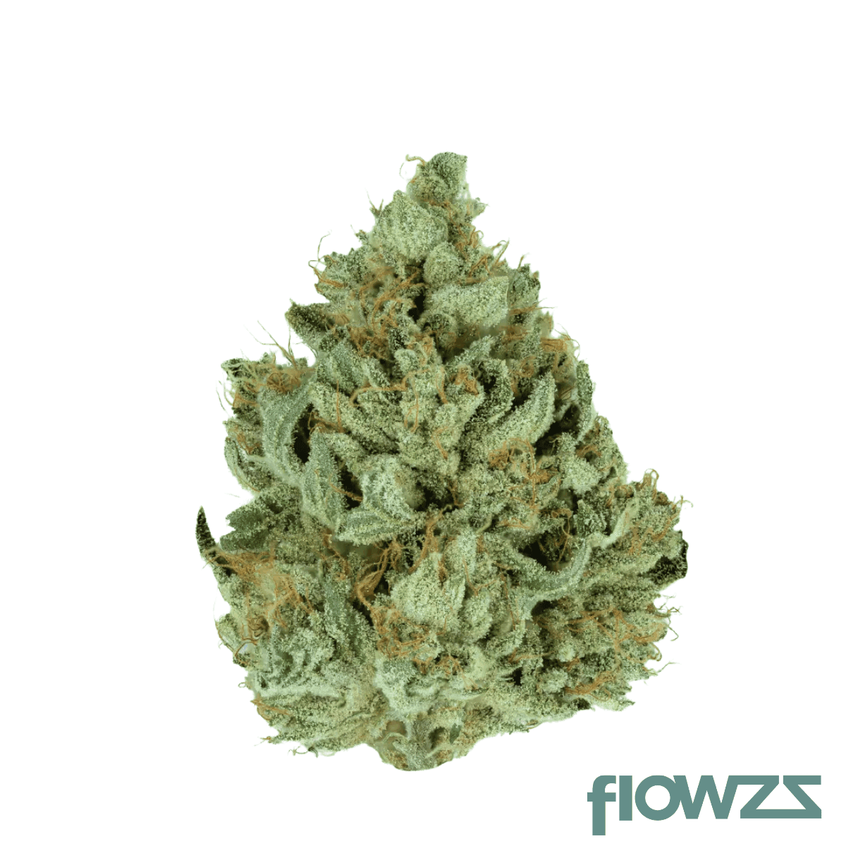 herbery-bb-23-01-moonbow-x-planet-purple