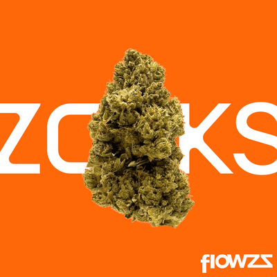 zoiks-22-1-chz-columbian-haze