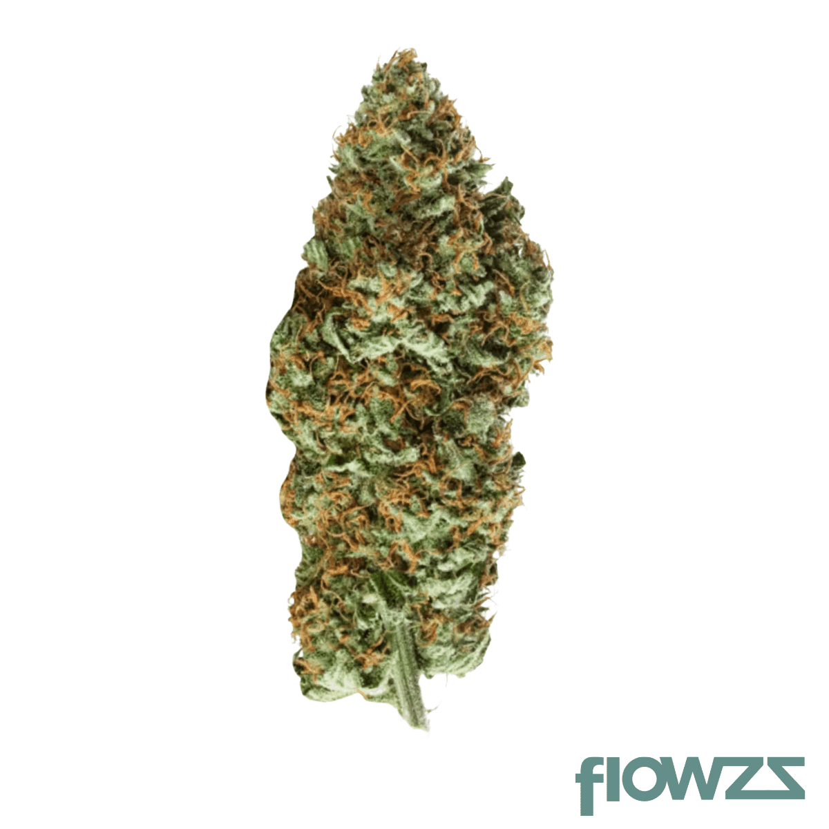 grow-27-pl-pink-lilac