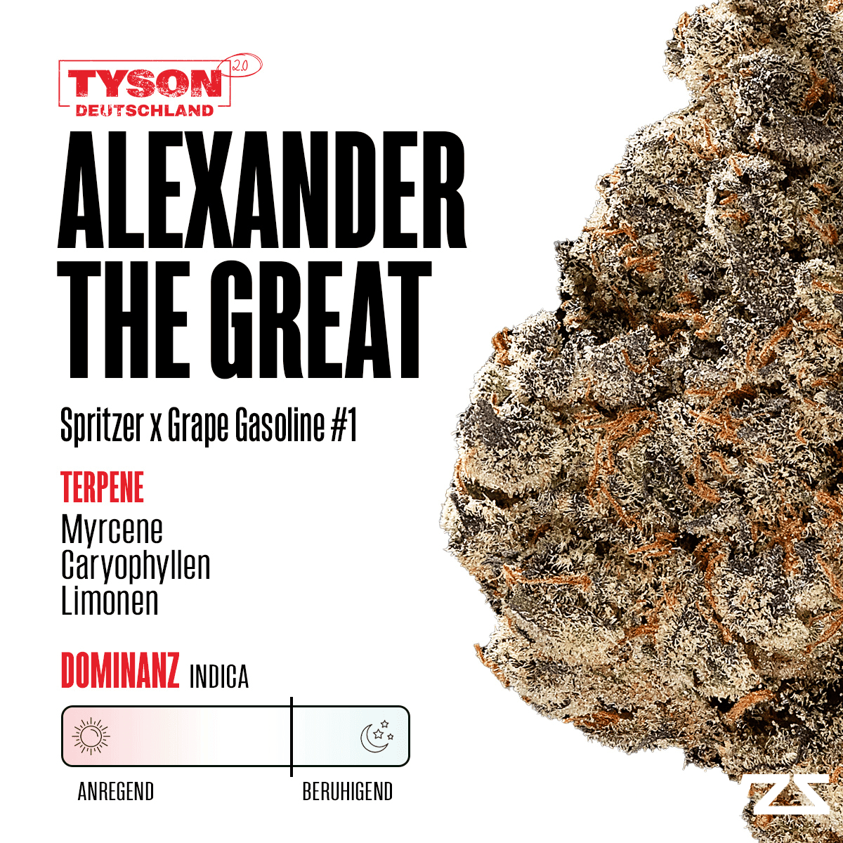 Alexander the Great
