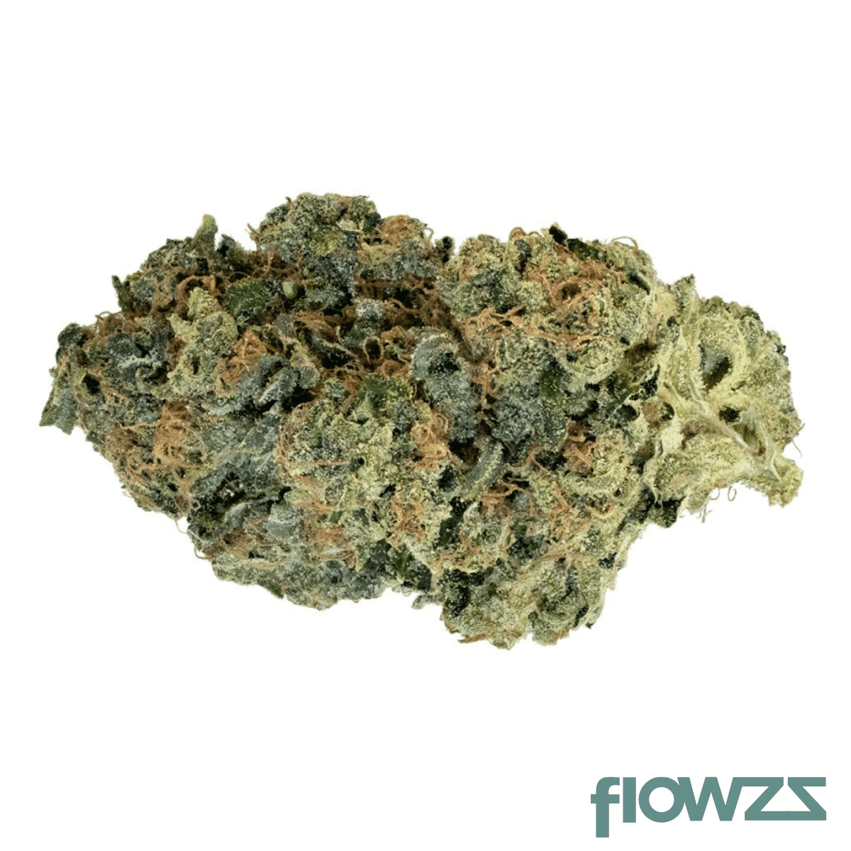 cm-30-1-koko-cookies