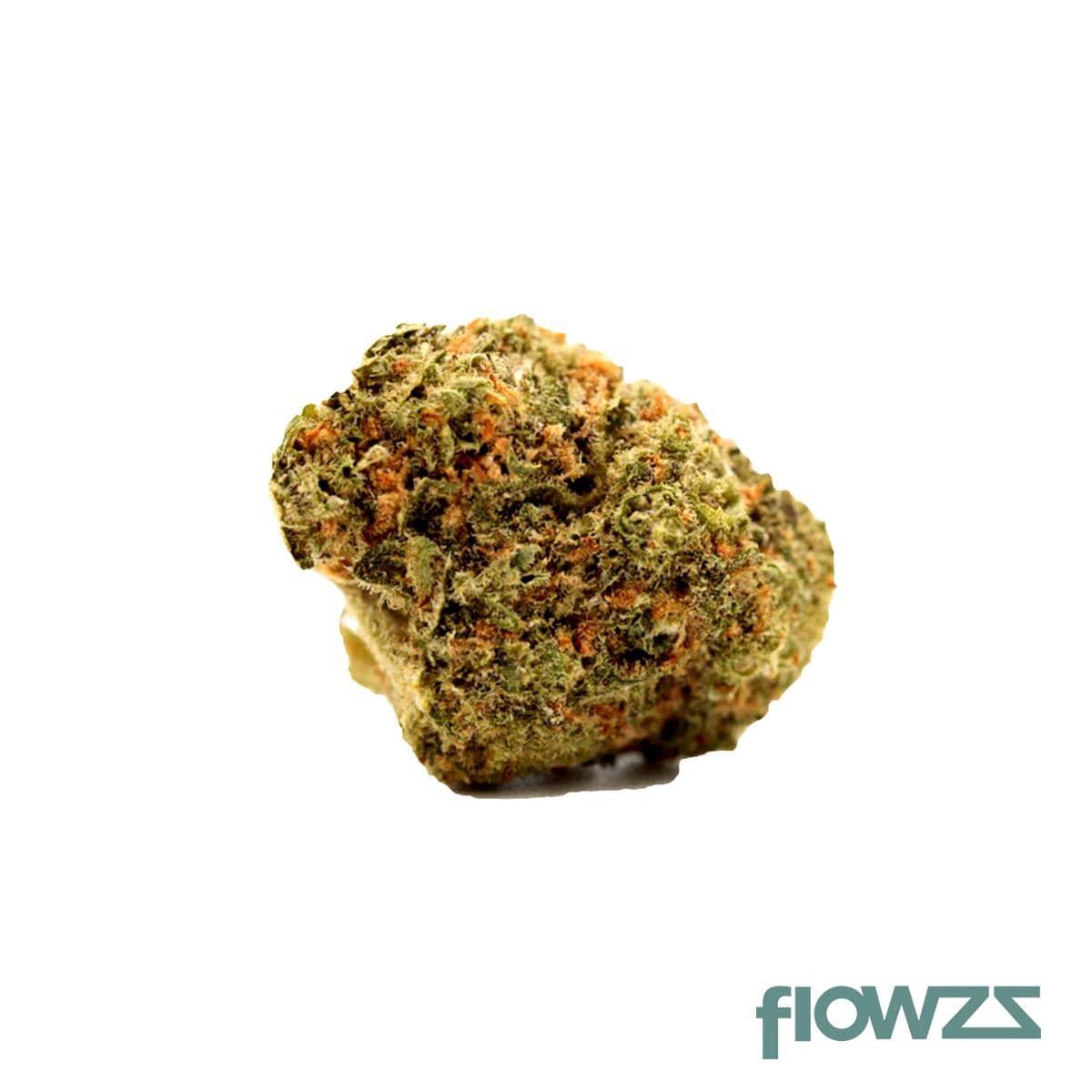 Beacon I-Hybrid THC16 Wappa