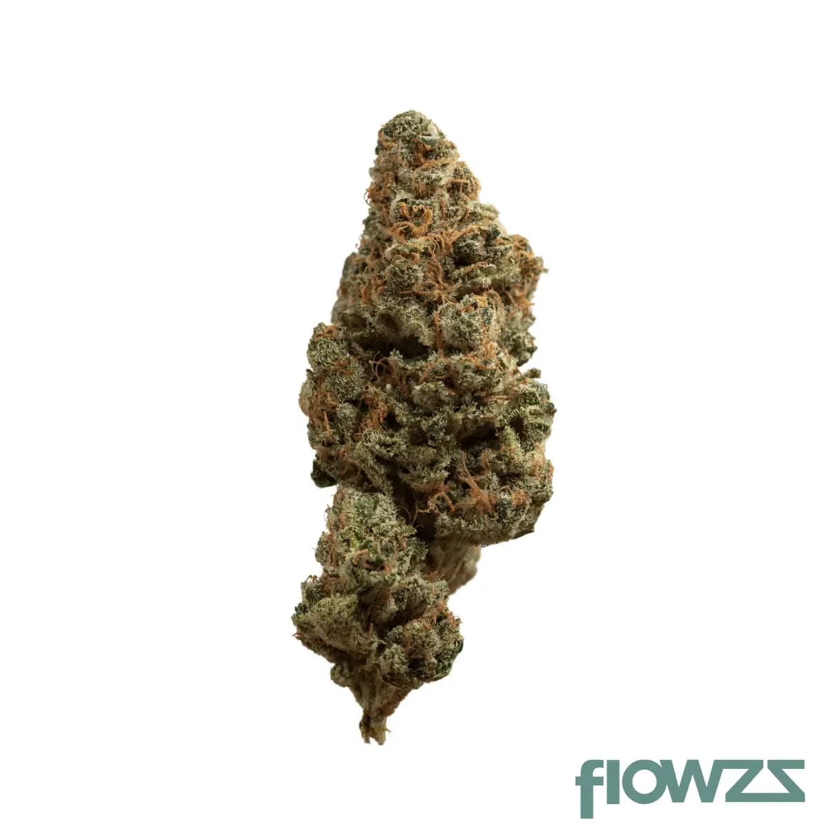 aleph-rose-21-1-tropicana-haze