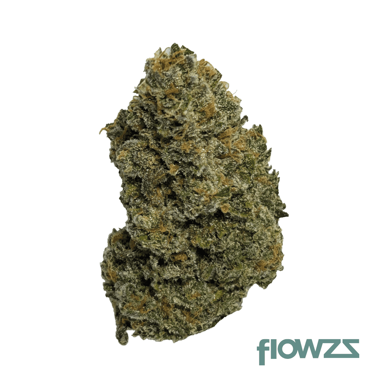 wellford-aquaponic-32-1-gth-legendary-bozy