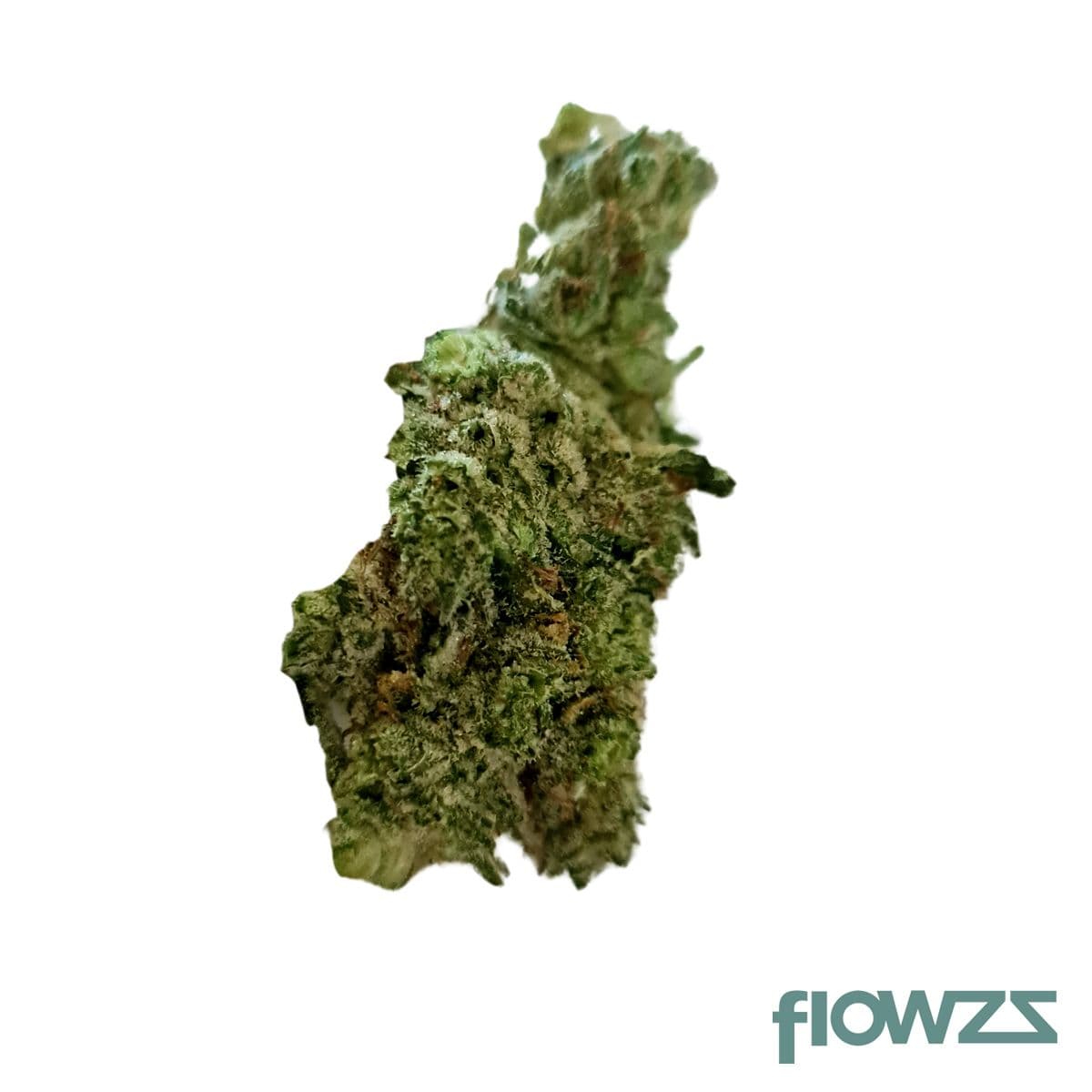 Dascoli GG4 19/1