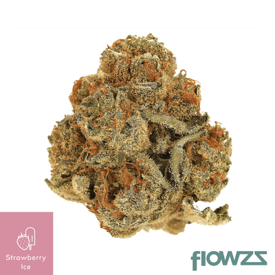 cannamedical-sativa-forte-strawberry-ice-strawberry-ice-2