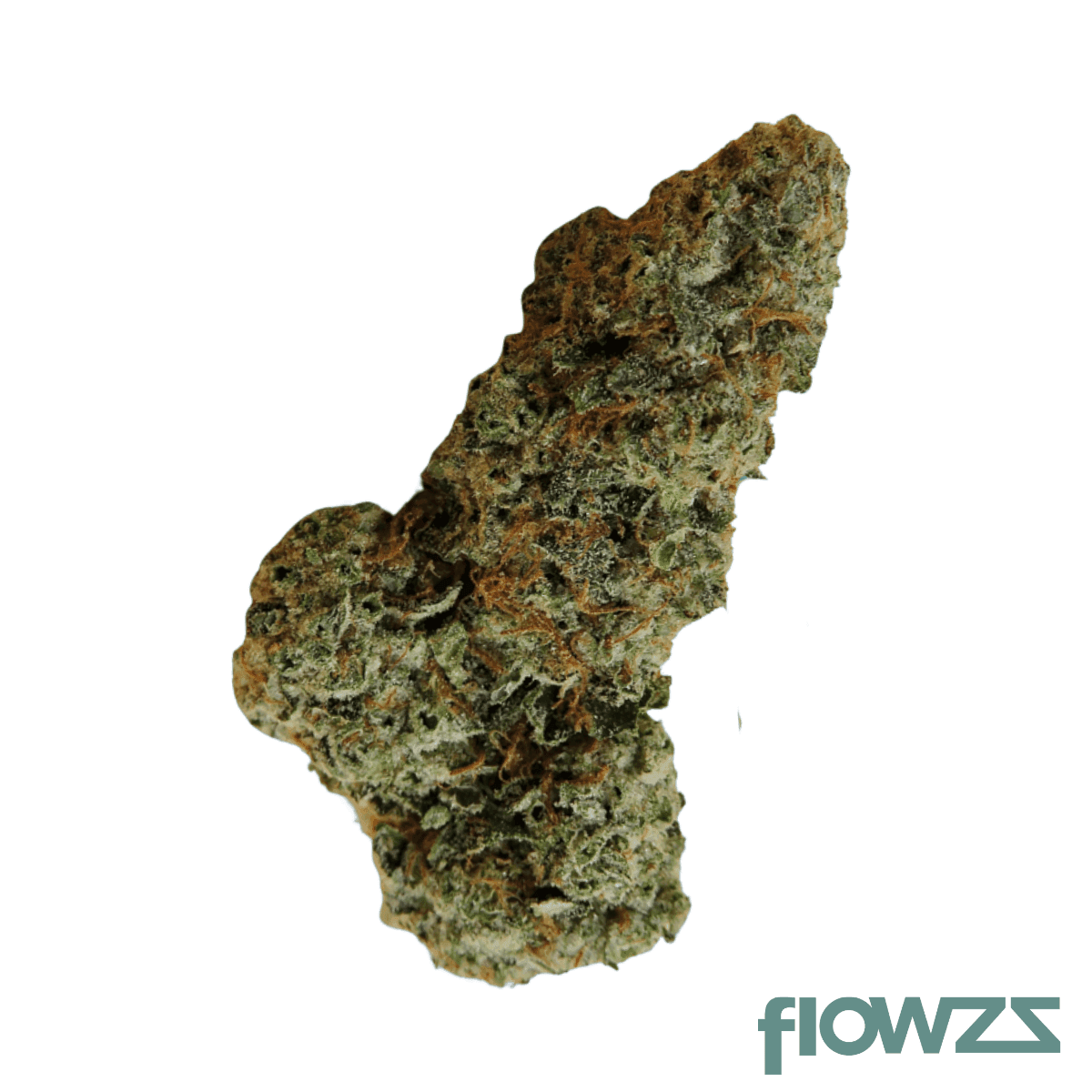 bavamed-21-1-sunset-diesel