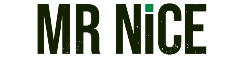 mrnice-logo