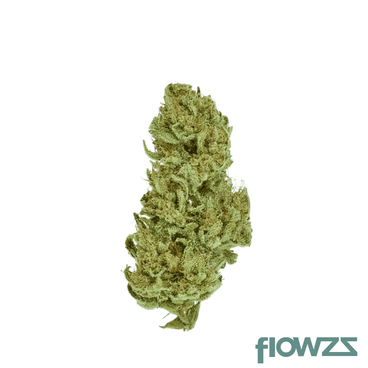 banjerie-flower