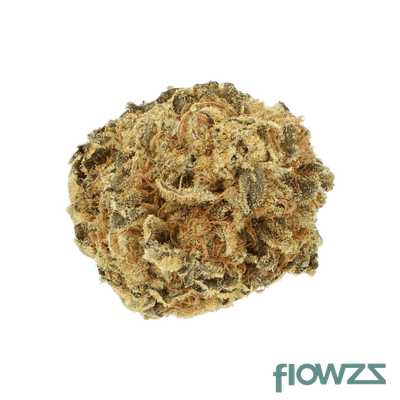 Cannamedical Indica light Kade's Kush - flowzz.com Preisvergleich