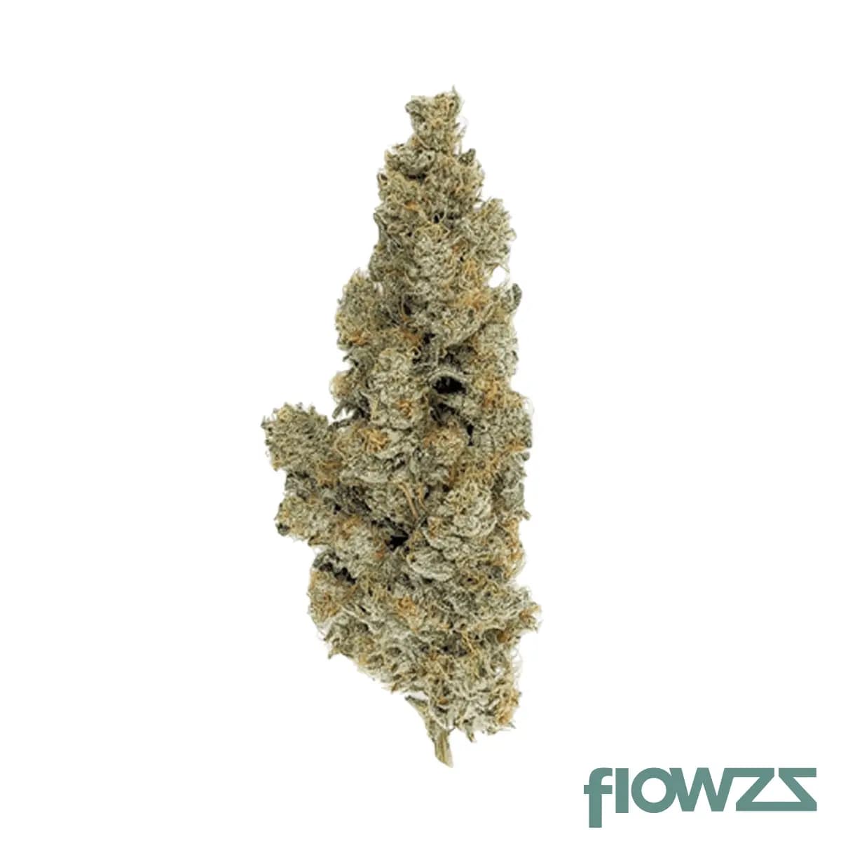 420 evolution 25 1 ca icc ice cream cake zum besten preis