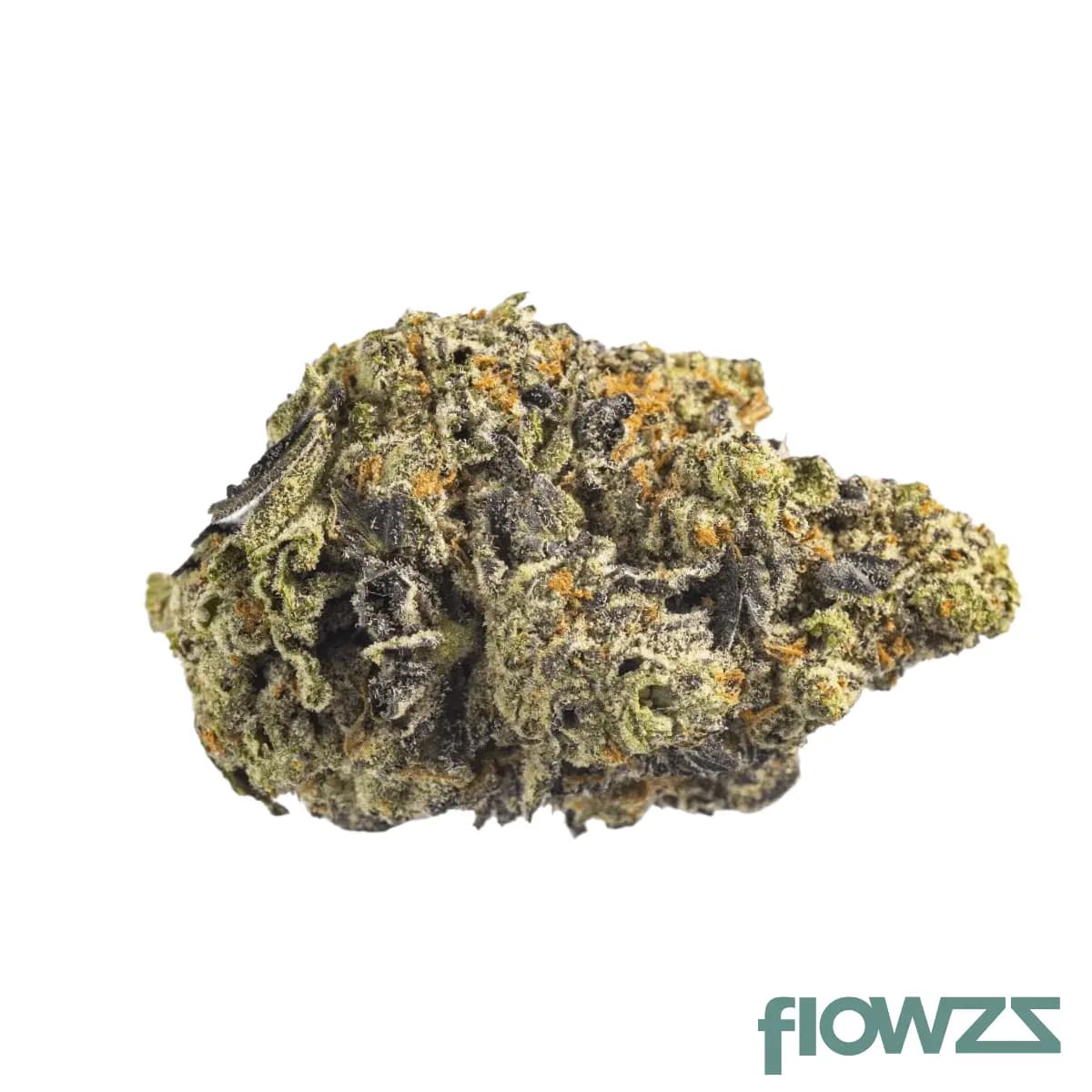 canify-flos-23-1-co-kush-mints 