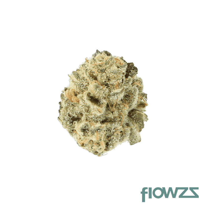 Cannamedical Indica forte El Jefe zum besten Preis