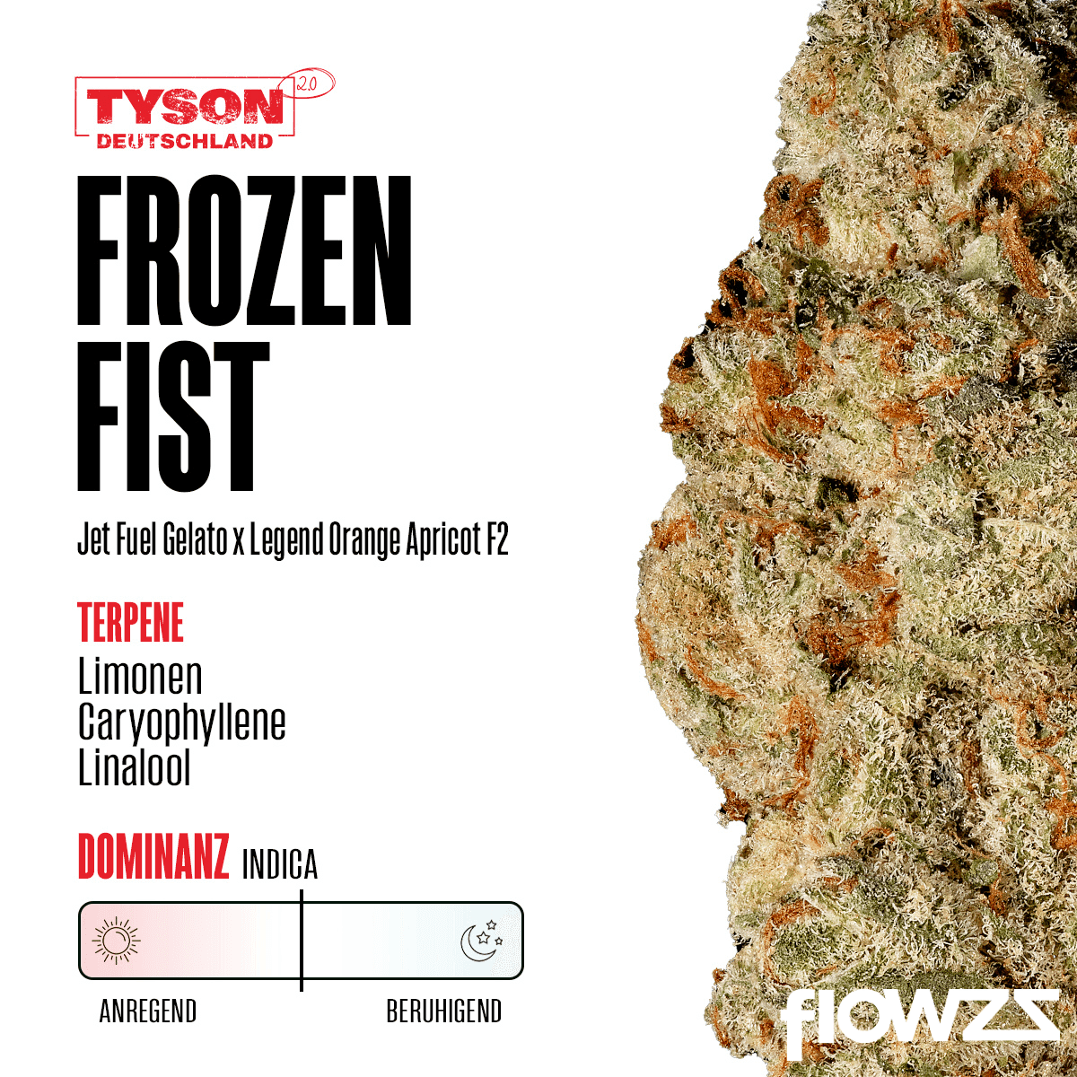 frozen fist