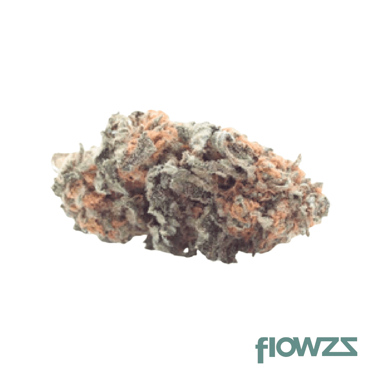 tweed-23-1-wappa