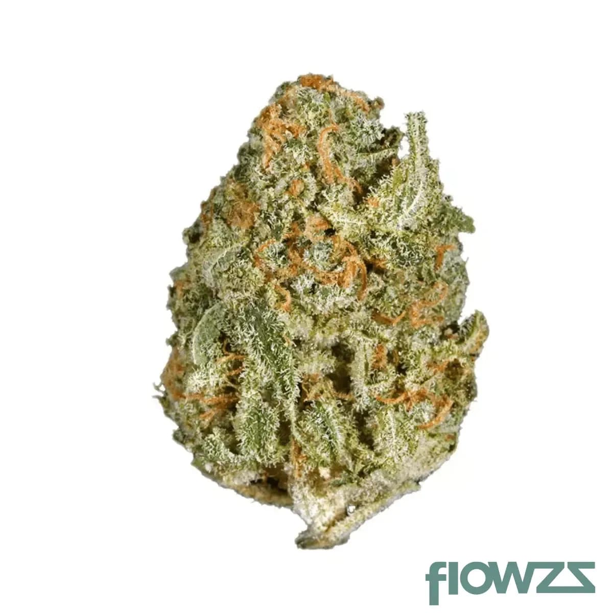 imc-thc-25-rwt-white-rhino